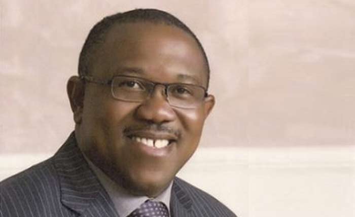 Peter Obi's Upbringing, Education, and Transition from the Business World to Politics